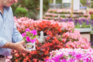 Aanbiedingen Tuincentrum Greensales Friesland